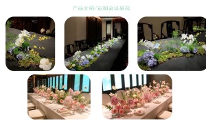 省心的短期花卉租赁选哪家 广受信赖的服务商客户口碑力荐