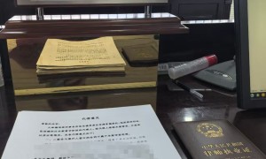 张丽媛律师专业能力怎么样
