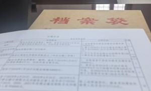 张丽媛：家庭继承离婚诉讼法律服务哪家口碑好，客户真实体验与团队实力测评