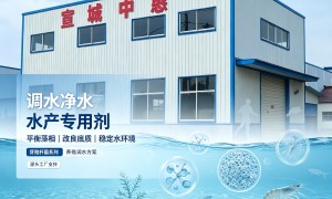 宣城本地芽孢杆菌生产商 中恳水产净水菌粉 生物分解有机质 2026年行情报价