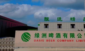广东知名的荔枝果啤代工生产厂家推荐，绿洲啤酒广受信赖