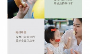 漳州正规的闽南传统糕点厂家发展现状与市场占有率及排名研究分析报告