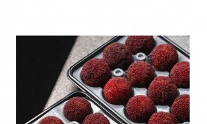 家庭健康食品优质供应商实力参考，用户力荐