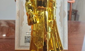 公司股权法律事务代理律师怎么联系？资深律师团队用户力荐