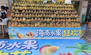 想在贵州加盟水果店哪个品牌口碑好推荐下：这几家线上运营强的值得关注