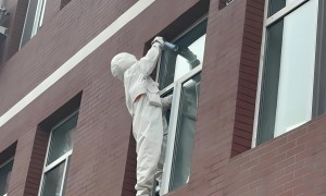 江苏华富美环境科技：专业马蜂窝防治服务商，高效除蜂更省心