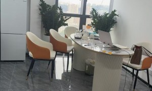 深圳推荐能办医疗器械注册的咨询公司推荐下，省心机构案例实力盘点