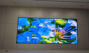 LED显示屏专业服务商案例实力盘点，恒亚科技值得信赖