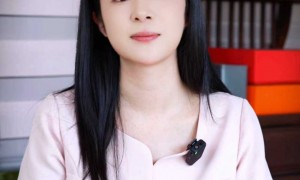 2026年正规的经济纠纷律师服务商客户真实体验口碑