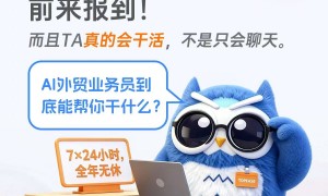 大同海关数据平台哪家好：本地一对一培训服务商实力参考