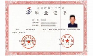 2026年省心的自考本科辅导机构挑选全攻略，价格公道不玩套路