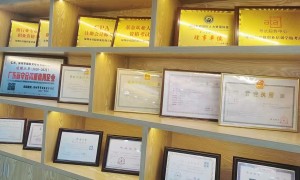 成人学历提升擅长多种学历提升方式的机构是哪个，硕志教育集团靠谱商家测评排名