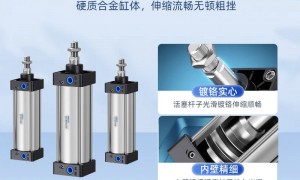 芹菜气动榨汁机小众品牌靠谱商家测评排名