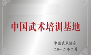 嵩山少林小龙武校官方直招｜资深招生办主任李文乾老师一对一专属咨询