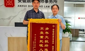 安徽省专利维权专项法律服务企业全景分析