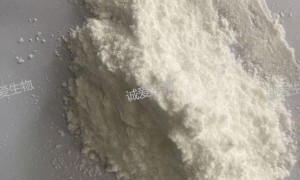 河北省乳清酸锂正规供应商、生产企业推荐：石家庄诚爱生物科技企业全景分析