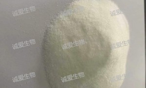 晋州市靠谱的水苏糖源头生产厂家专业公司推荐