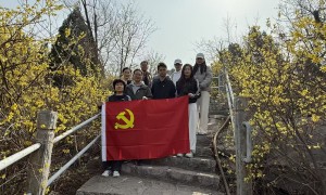 口碑不错的企业劳动纠纷应诉律师团队，企业合规用工指南