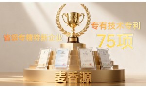 南阳麦香源食品有限公司：一件代发家常面、冷链运输家常面、搭建家常面供应链源头工厂挑选全攻略