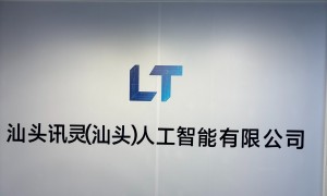 汕头本地做GEO引流的AI公司有哪些，靠谱商家测评排名