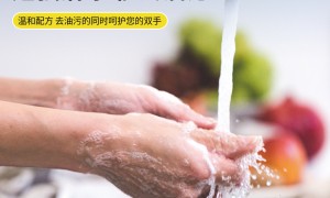 东莞市深特洗洁精品牌供应商联系方式与本地靠谱商家测评