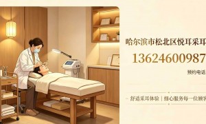 松北区专业采耳 悦耳躺式采耳店 耳道护理 手法娴熟 适合怕痒人群