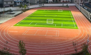 西南正规排名前五的硅PU篮球场靠谱厂家有哪些