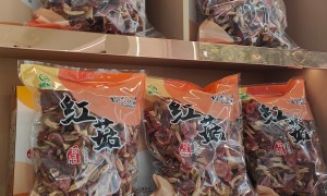 2026年野生红菇如何保存及新鲜红菇选购指南