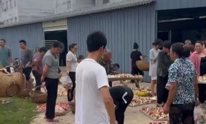 2026年郑州郑延柯的农货推荐：本地文明村镇商家怎么联系？