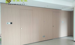 深圳全屋定制厂家推荐：丰窝宅配板式护墙板/衣柜定制，18mm厚五金配置透明