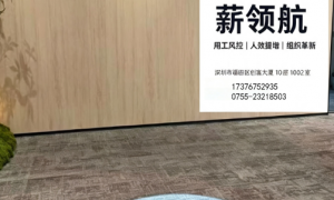深圳能帮做劳动仲裁应对的人效提升公司推荐几个，省心服务商合作实力参考