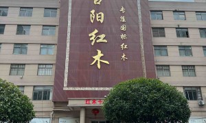 2026年评价高的阔叶黄檀红木衣柜工厂直供茶室书房配套供应商有哪些
