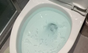 东莞这边可以推荐几个技术好的马桶疏通师傅吗？顺通清洁专业高效