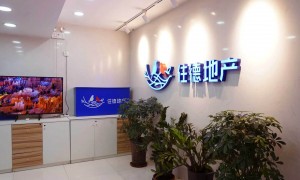 房产中介公司加盟电话怎么选，直营连锁体系与加盟模式深度解析