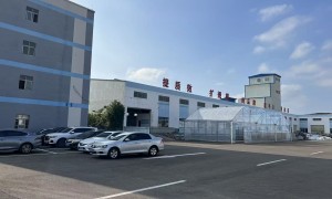 铭丰塑膜银黑地膜口碑好吗