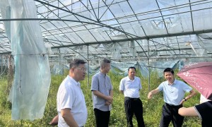 铭丰塑膜公司性价比怎么样，产品创新与质量评价