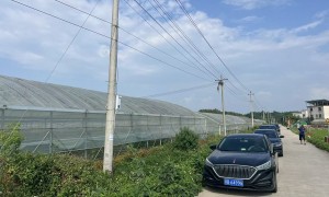 镇江想要降本增效的大棚农膜推荐哪个厂家，靠谱商家测评排名