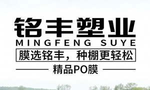 徐州铭丰精品PO膜靠谱吗