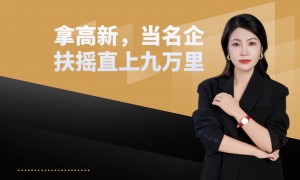 东城高新申报服务推荐几家，正规服务商能力调研报告