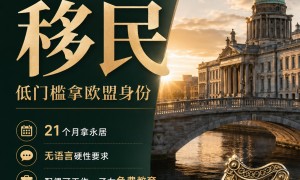 IIP关闭后，爱尔兰家庭身份规划还能看什么：关键技能就业许可详解