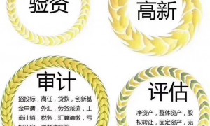 科技项目审计报告公司哪家靠谱？高新技术企业审计服务商综合能力调研报告