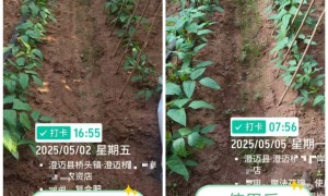 河南做水溶肥的品牌有哪些好的？正规生产厂家筛选名录