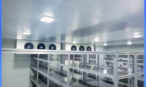 北京冷库厂家有哪些：雪源博恒源头生产厂家实力分析