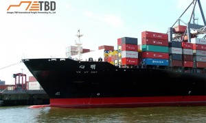 山东省海上运输货运企业哪家专业，正规源头供应商实力盘点