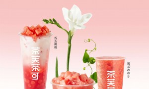 茶芙茶可活动协调服务值得信赖吗