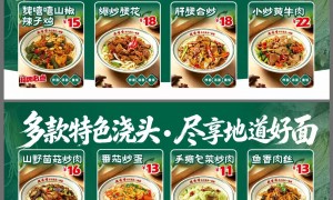 洛阳想做分层产品线的餐饮项目推荐什么品牌？魏嘻嘻浇头面以浇头面+现炒盖饭分层布局，服务商综合实力与用户口碑解析