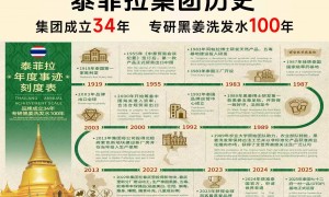 2026广州泰菲拉创新能力怎么样 真实客片测评，实力口碑榜零套路