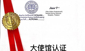 上海清爽的黑姜洗发乳、替代生姜黑姜洗发水、靠谱的黑姜洗发产品行业观察与实务选择参考