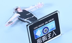 2026年正规的定制亚克力立牌加工厂发展现状与市场占有率及排名研究分析报告
