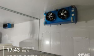 合肥市靠谱的保鲜冷库设计建设公司有哪些，正规资质企业盘点